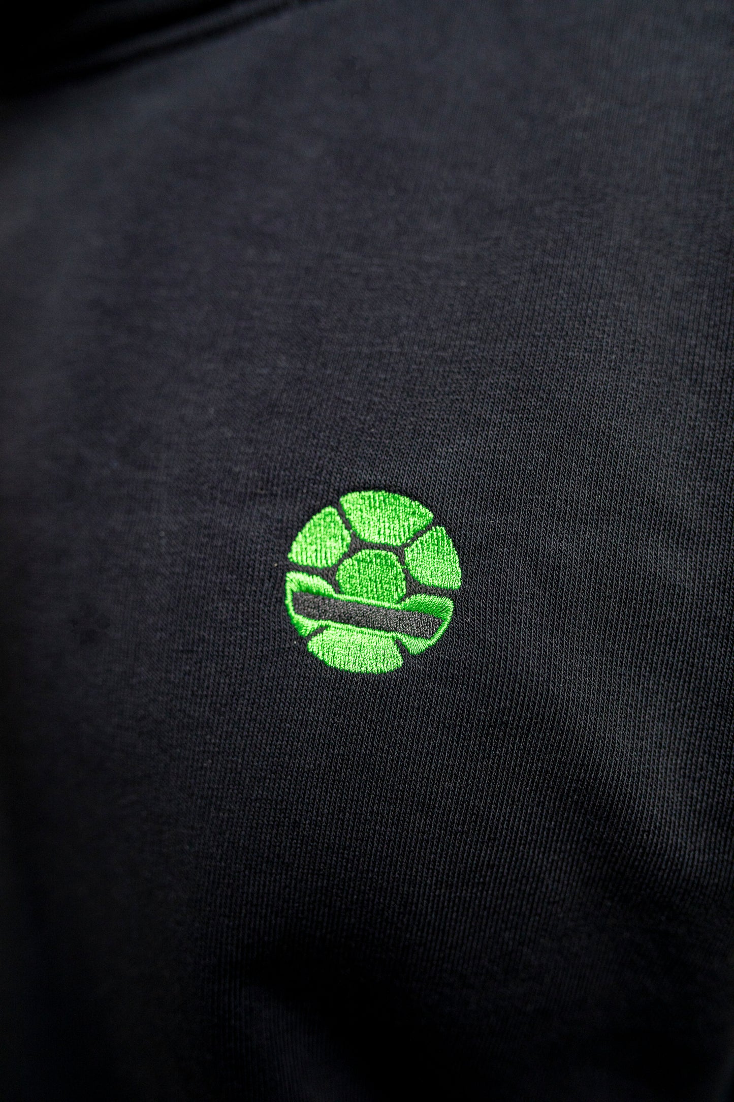 Black Hoodie Turtle